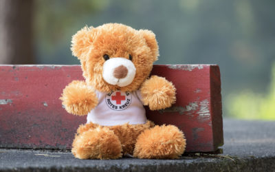 DRK Erste-Hilfe-Kurse starten wieder!