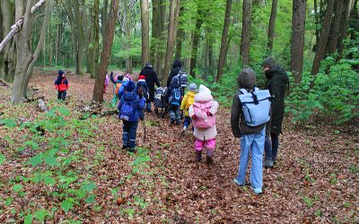 Waldtage in der Kita Taka-Tuka-Land