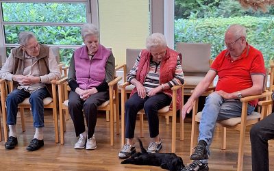 Welpenzauber im Pflegezentrum Am Schlosspark