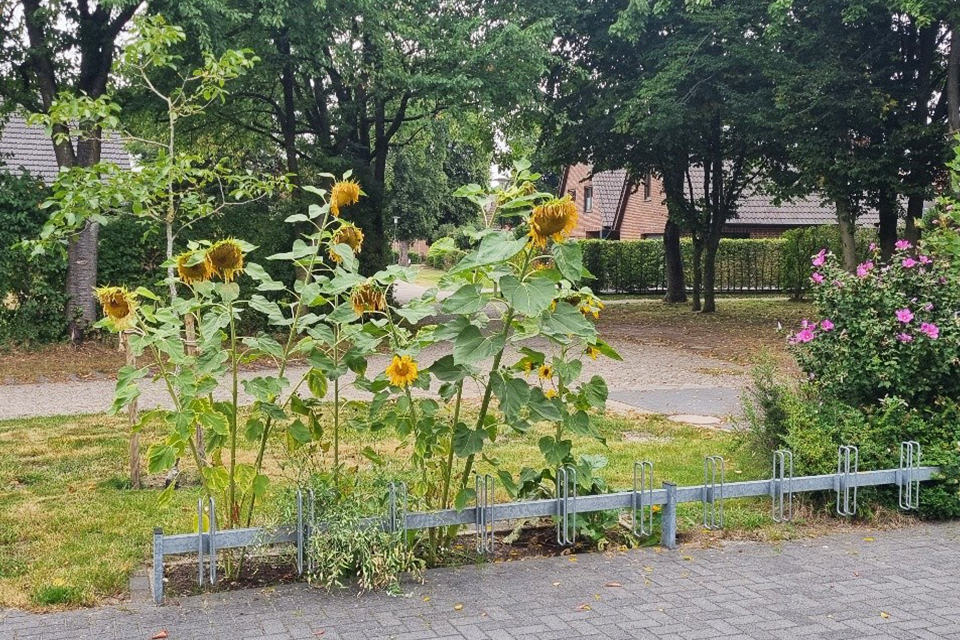 Post für die Tagespflege in Emlichheim