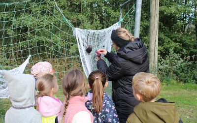 Abenteuerreise zur Spinne Thekla