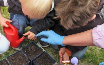 Vom Kern zum Kürbis – Kürbis-Projekt im Kaiserhof