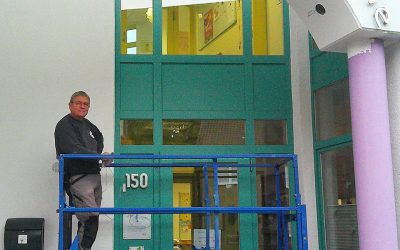 Frischer Glanz für die Pusteblume