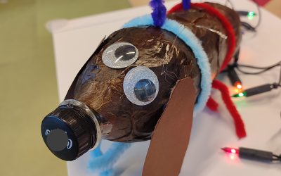 Mit Licht und Liedern durch Nordhorn