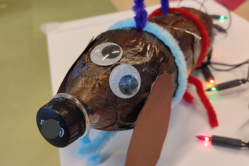 Mit Licht und Liedern durch Nordhorn